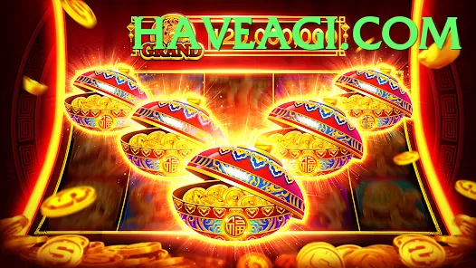 Daily Patti game app for Pakistan players